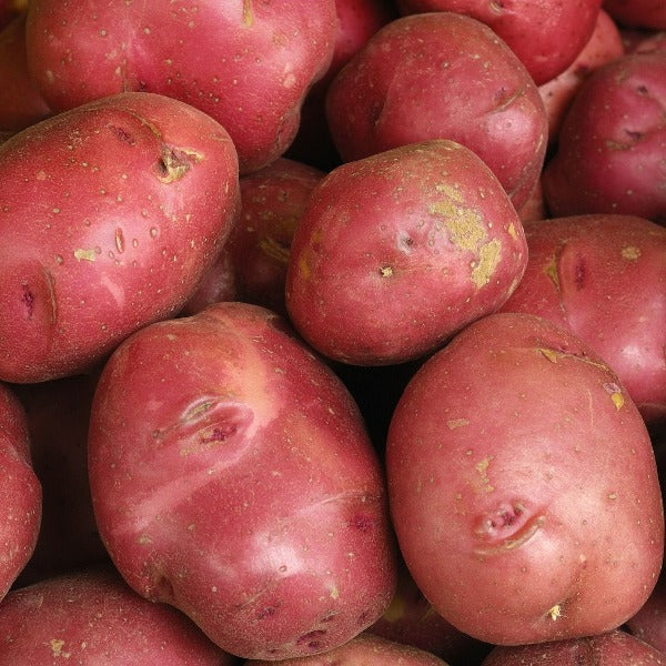 Fresh Red Potatoes 5 lb