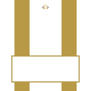 Jade Paper Name Cards Classic Collection Double Gold Striped  25 ct