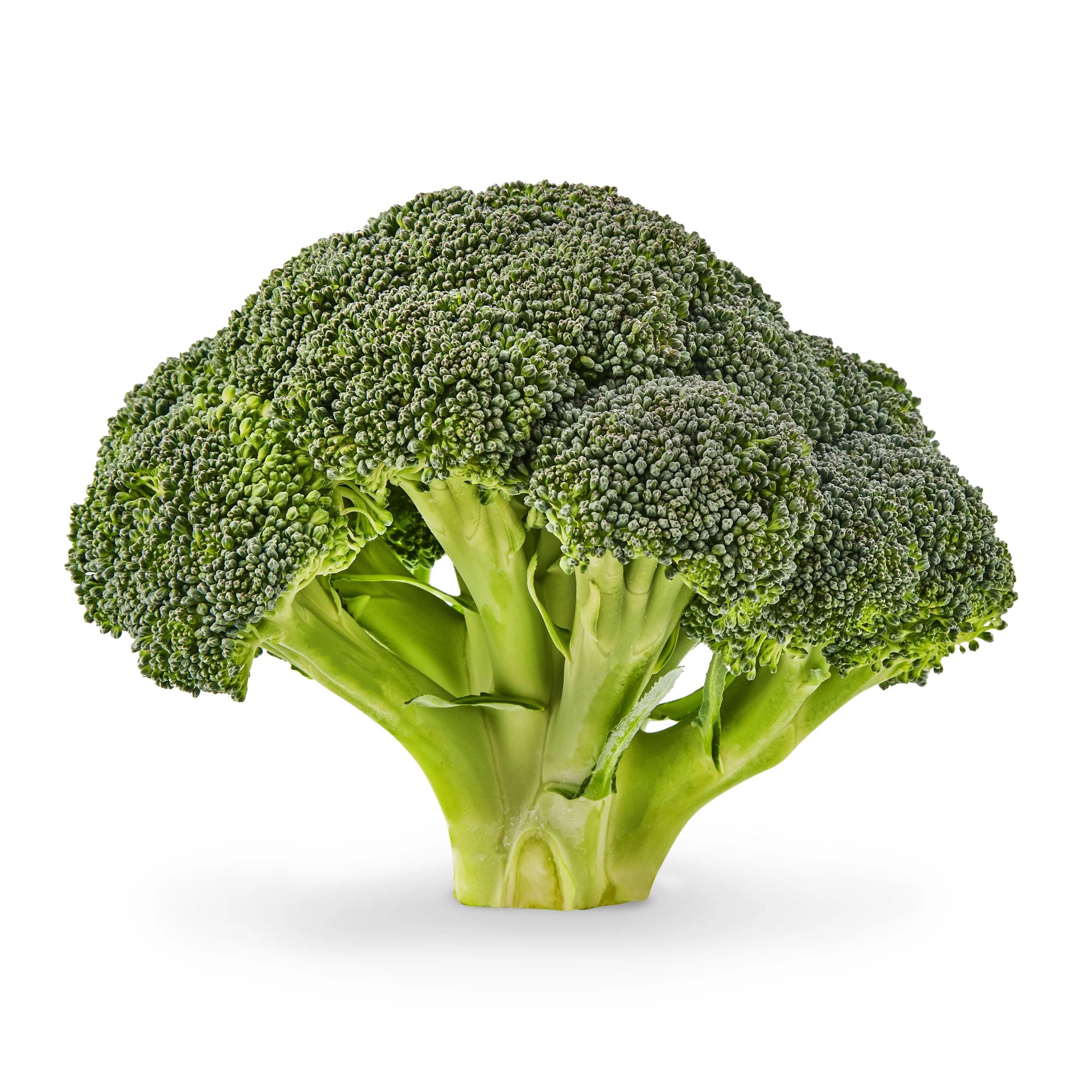 Fresh California Large Broccoli Crown ea