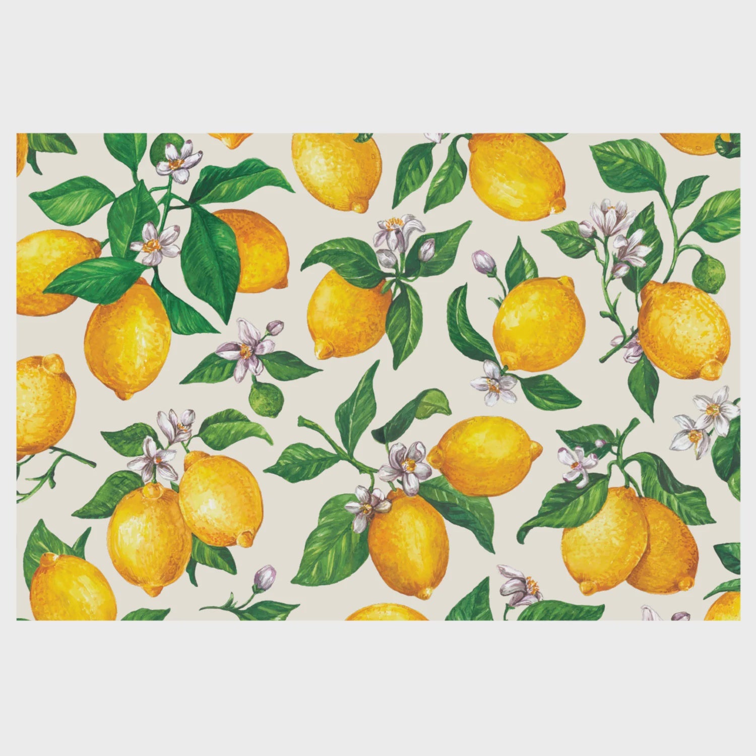 Hester & Cook Lemons Placemat 24 ct