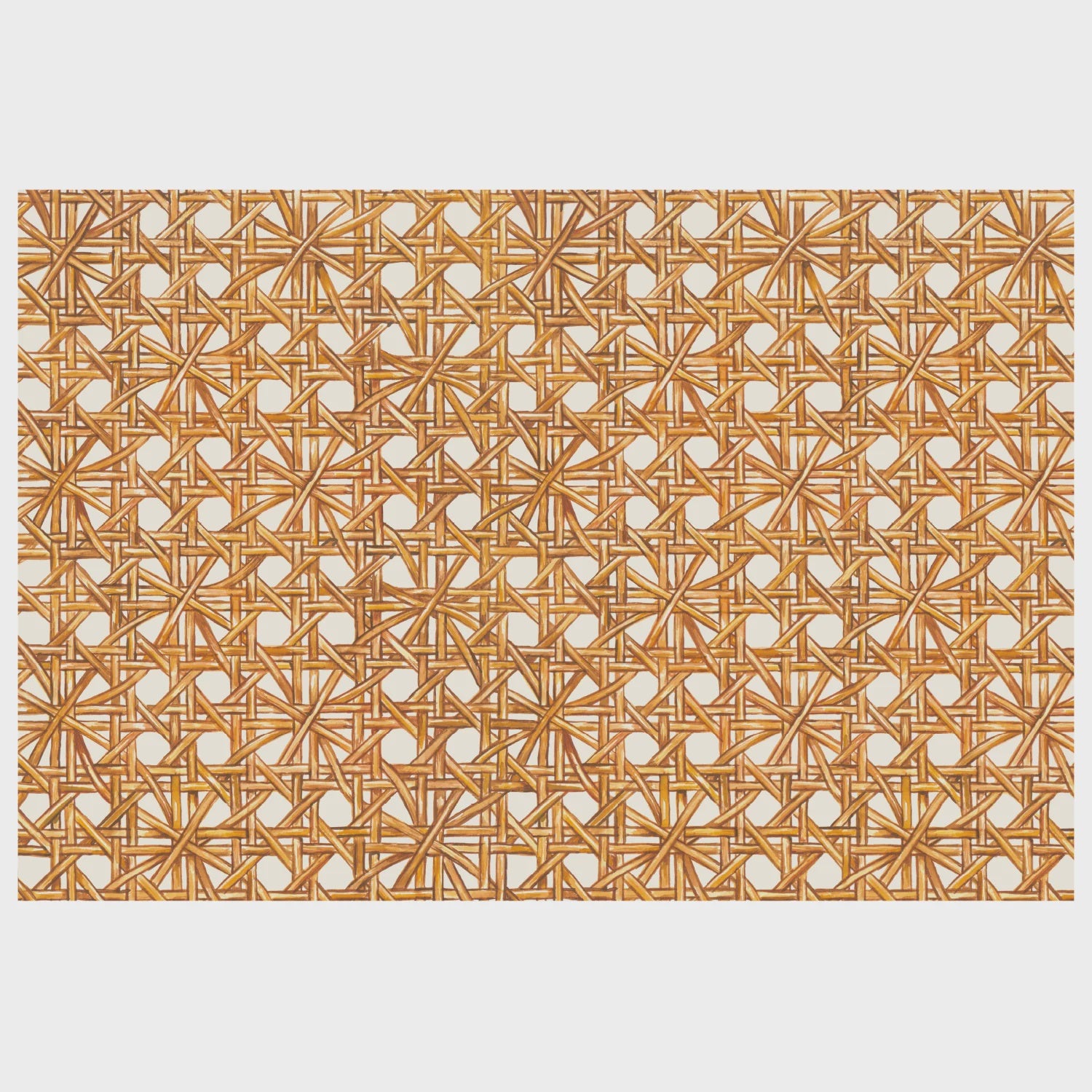 Hester & Cook Rattan Weave Placemats 24 ct