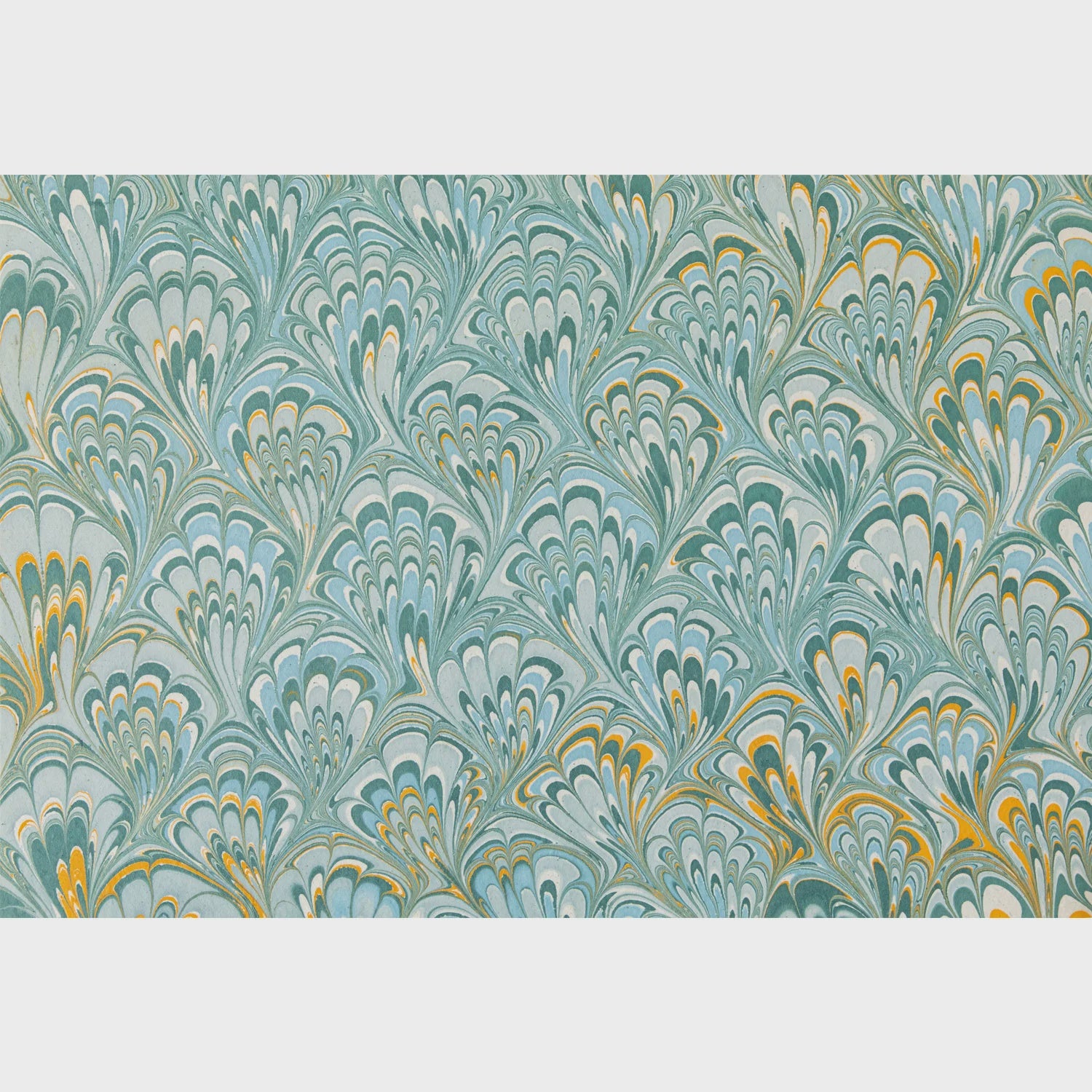 Hester & Cook Blue & Gold Peacock Placemat 24 ct