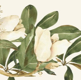 Jade Paper Placemat Magnolia 12x16  25 ct