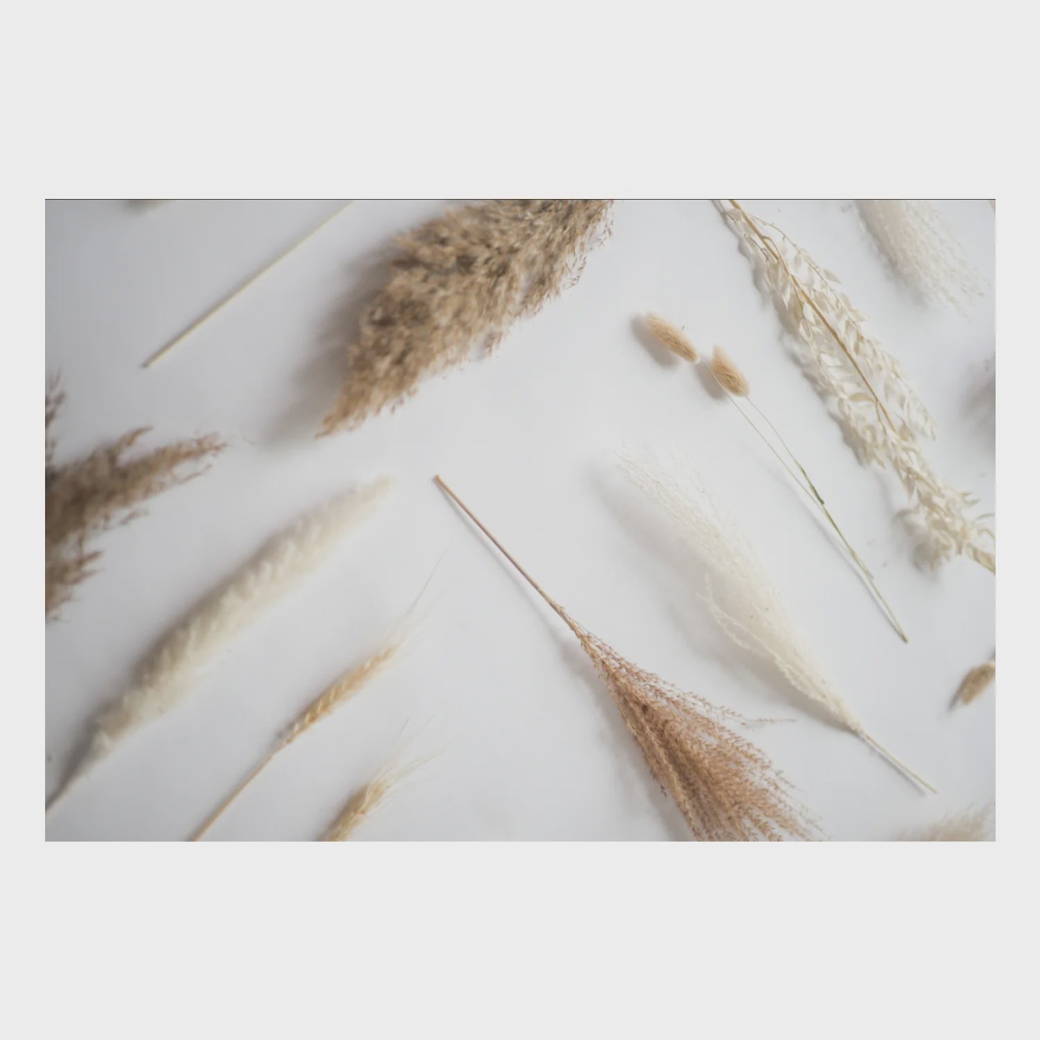 Zela Pampas Placemats 25 pk