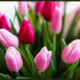 Jade Paper Placemat Pink Tulips 12x16  25 ct