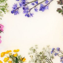 Jade Paper Placemat Spring Fever 12x16  25 ct