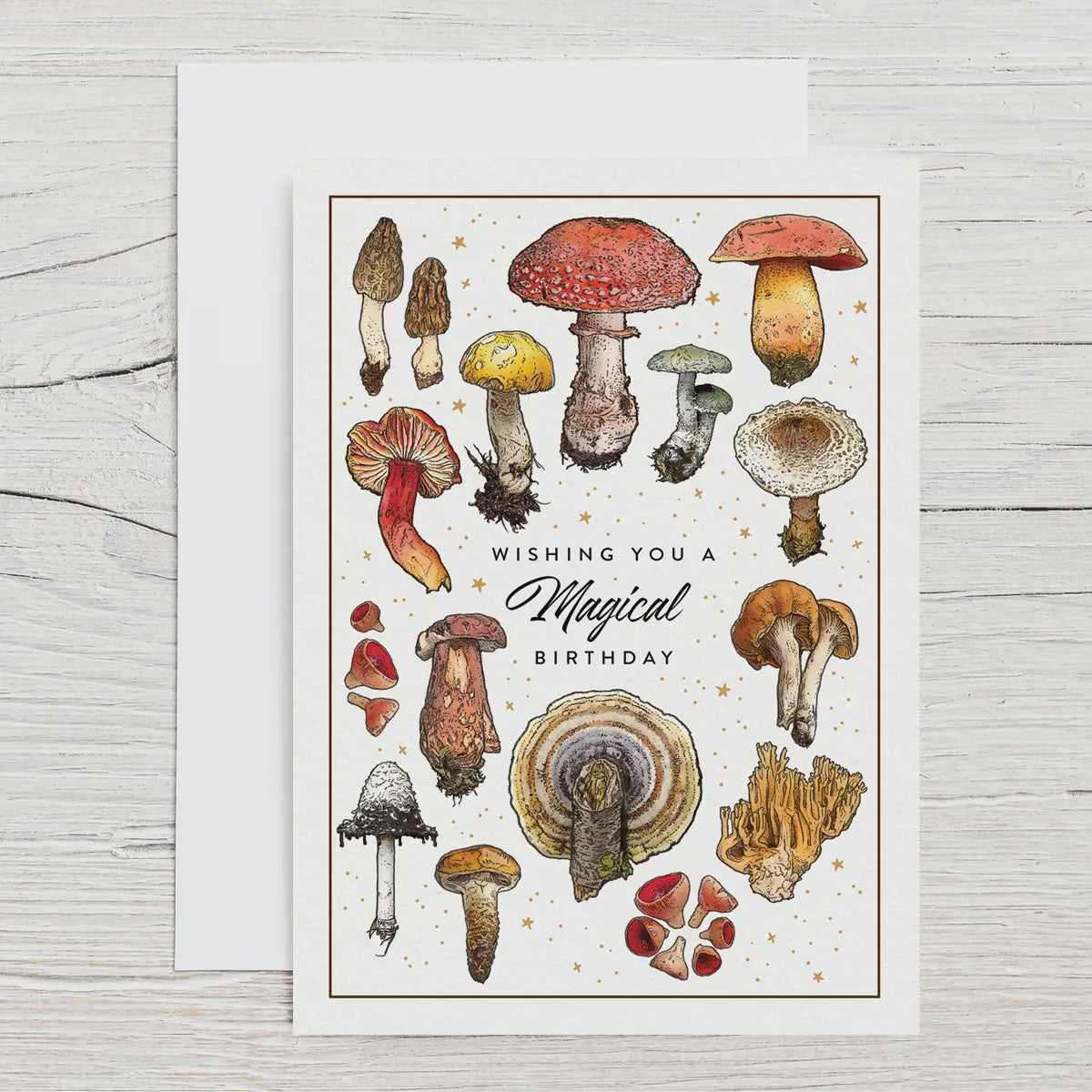 Brook Isle Birthday Mushroom Greeting Card 5x7