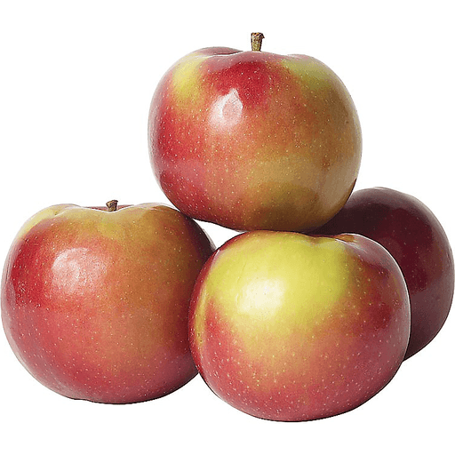 Fresh McIntosh Apples 5 lb Tote Bag