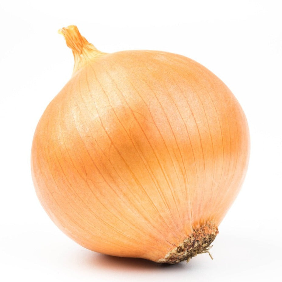 Fresh Jumbo Yellow Spanish Onion Each