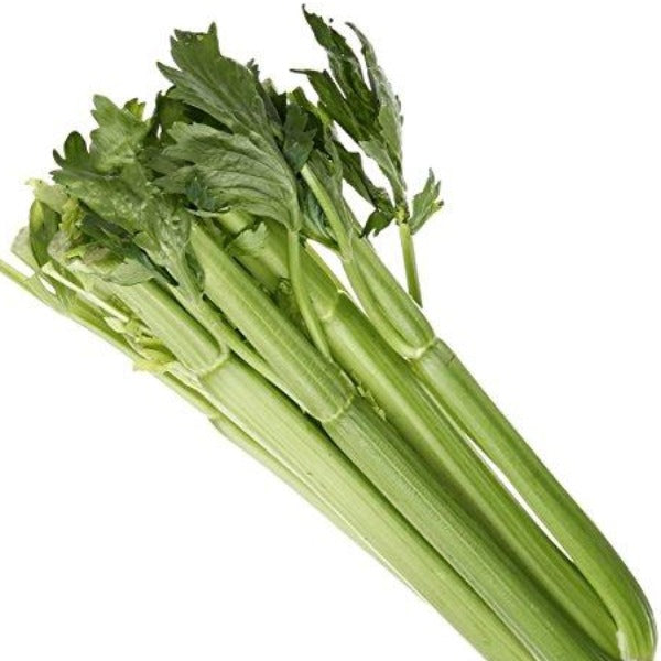 Fresh Celery Bunch