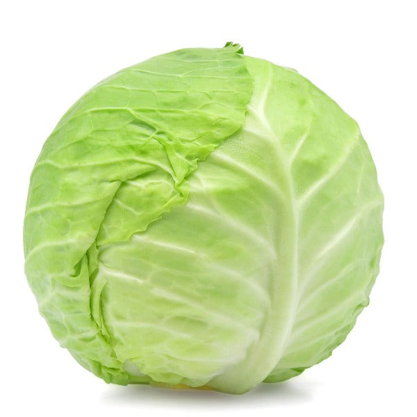 Fresh  Green Cabbage