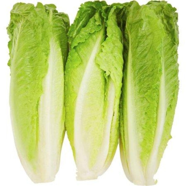 Fresh Romaine Lettuce 3 hearts