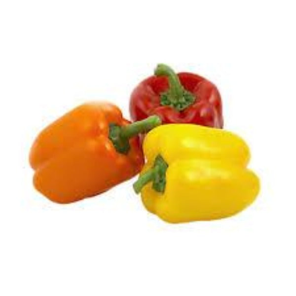 Fresh Red/Yellow/Orange Pepper Each