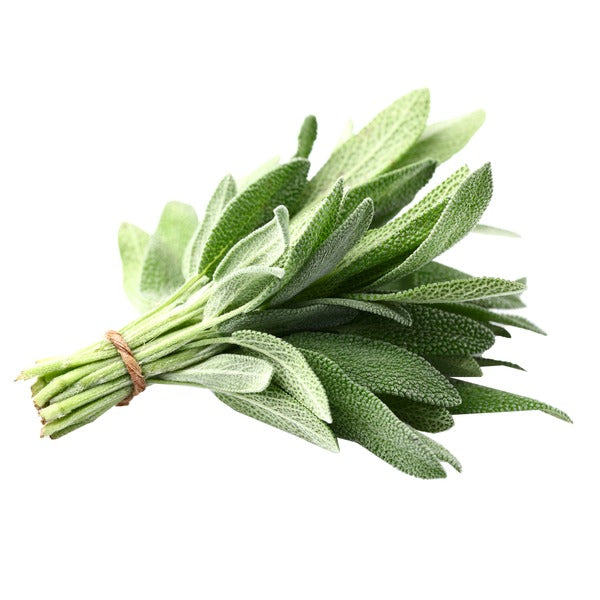 Fresh Sage