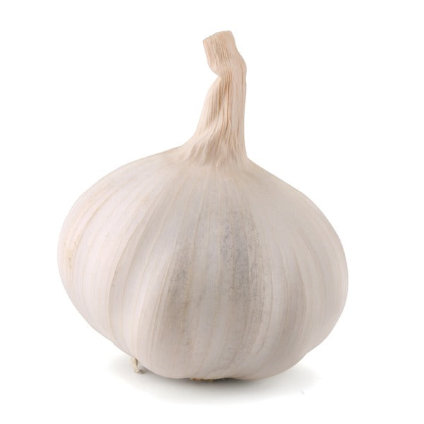 Fresh Garlic 3 pk