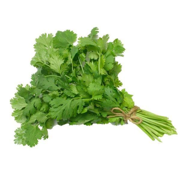 Fresh Cilantro