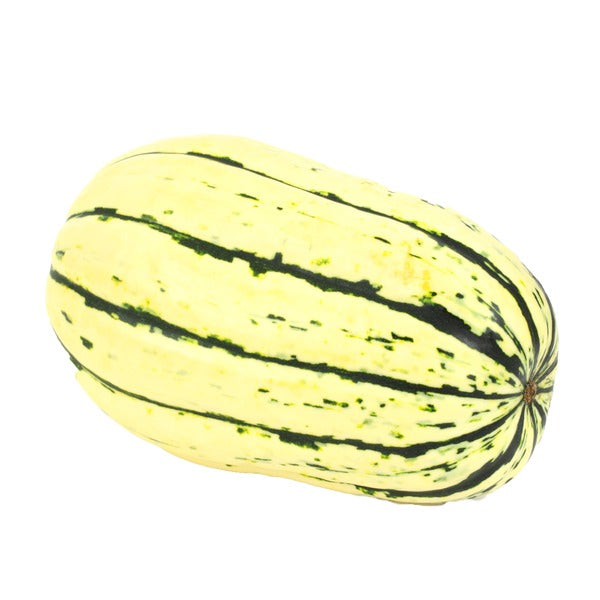 Fresh Delicata Squash Each