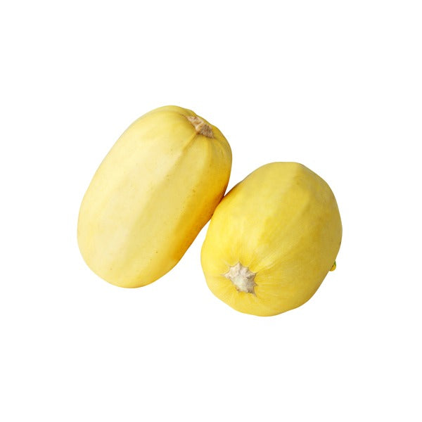 Fresh Spaghetti Squash Each