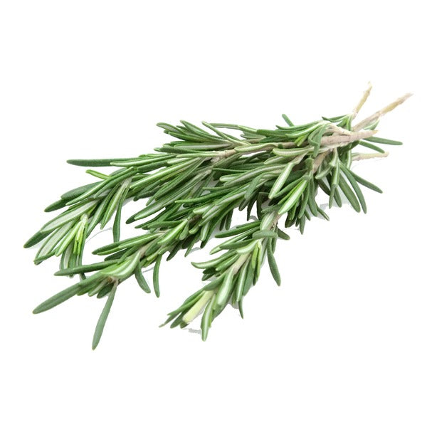 Fresh Rosemary