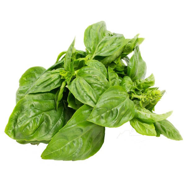 Fresh Basil