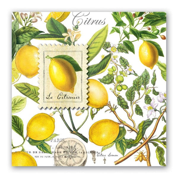 Michel Design Works Lemon Basil Dinner Napkins 20 ct